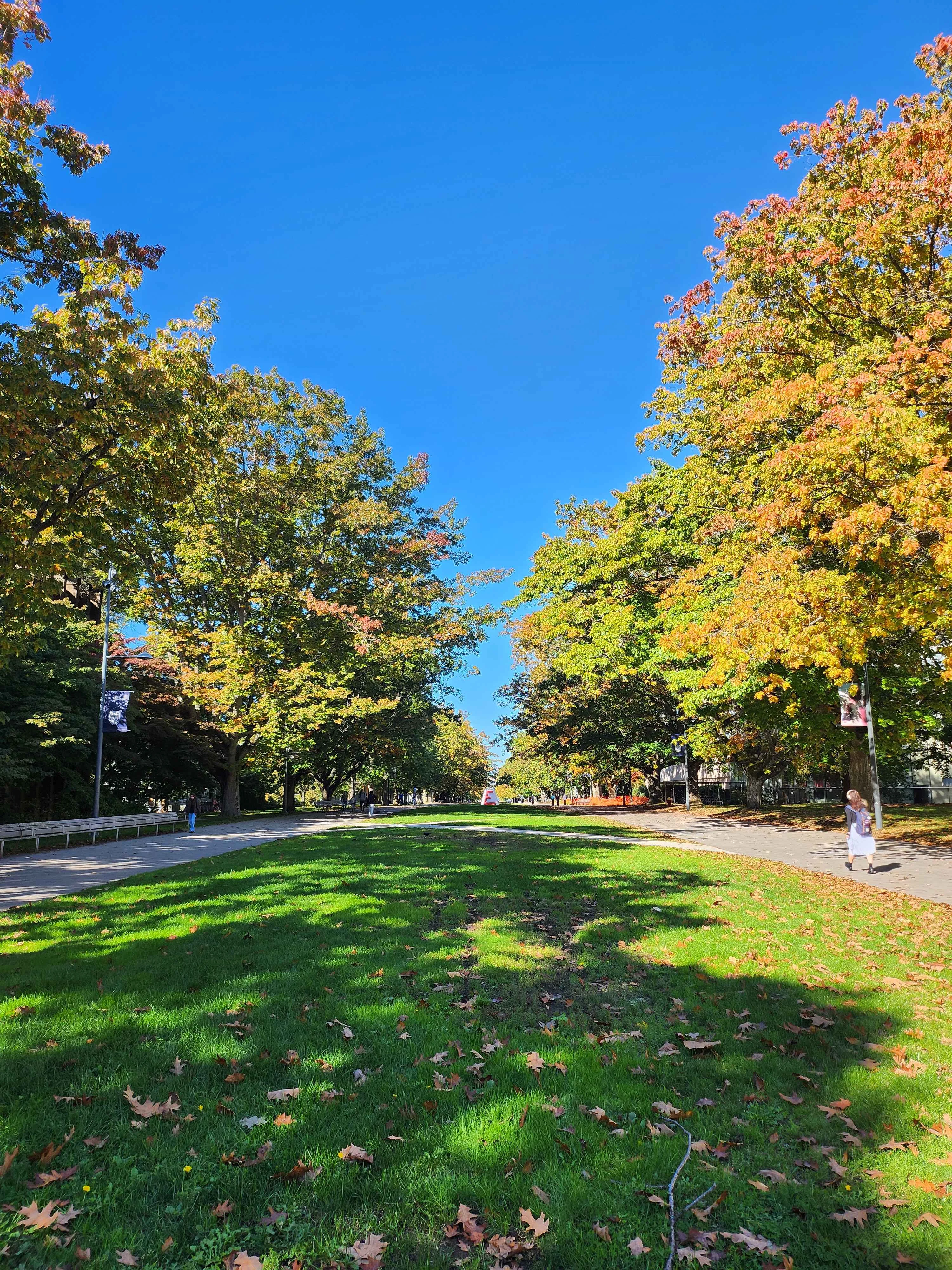 Start of Fall 1