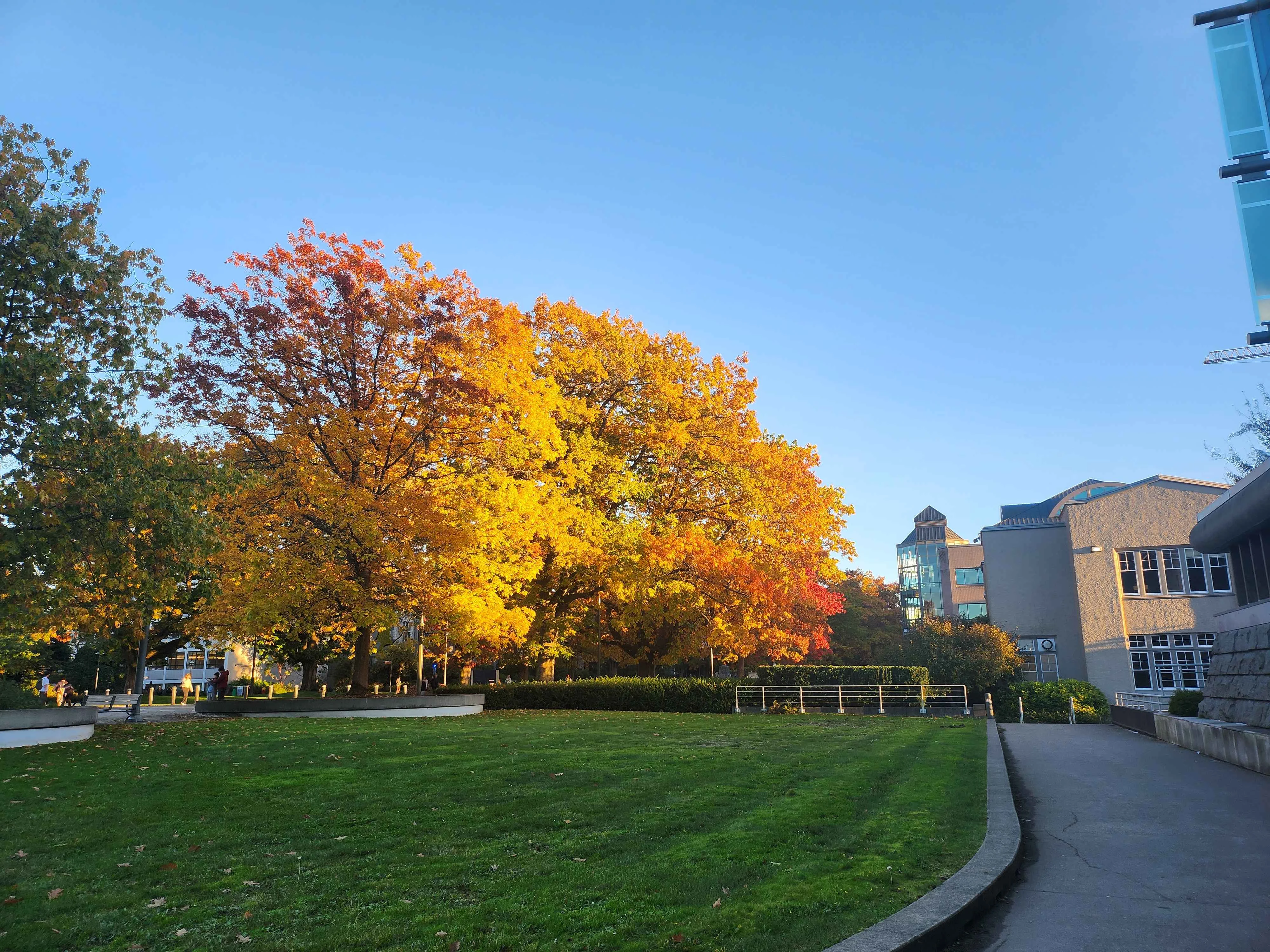 During Fall 1