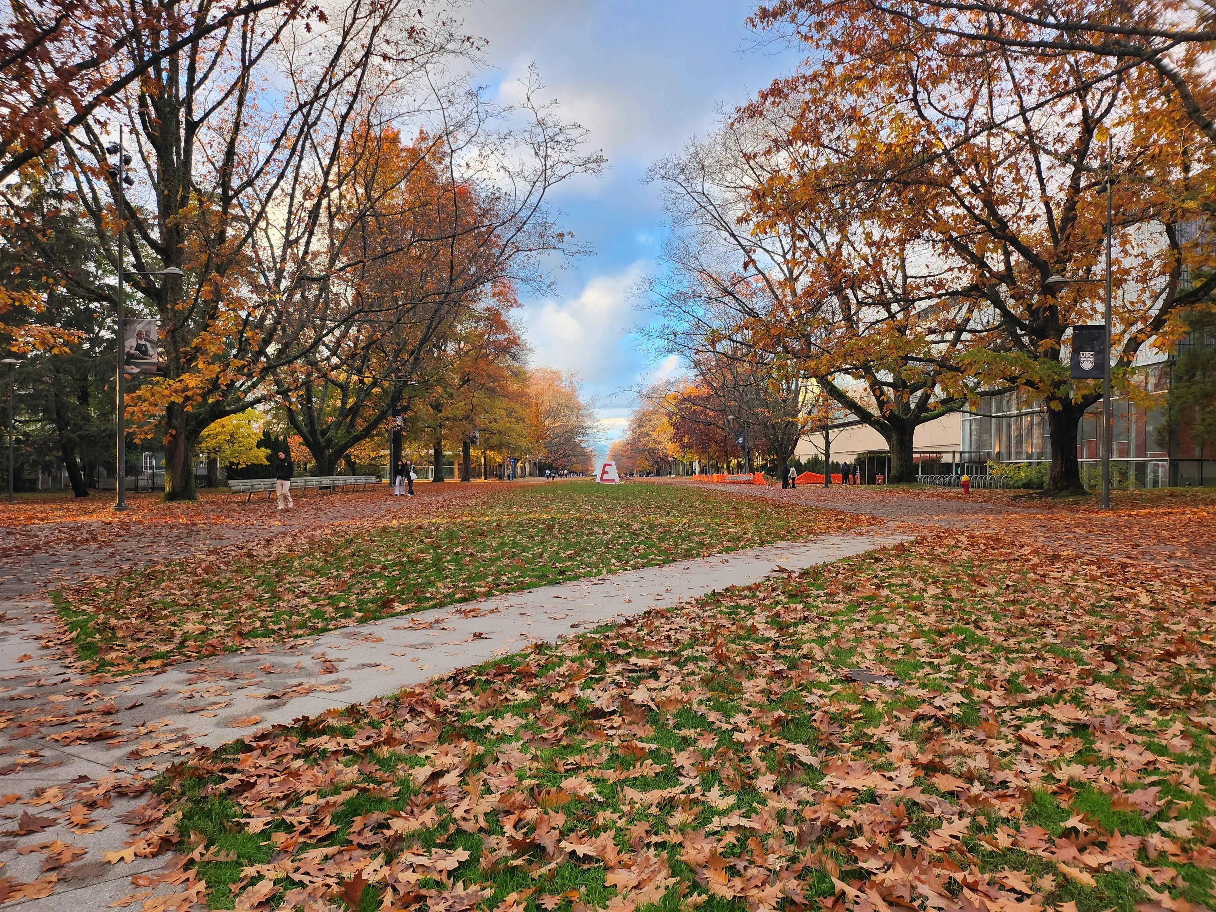 End of Fall 1